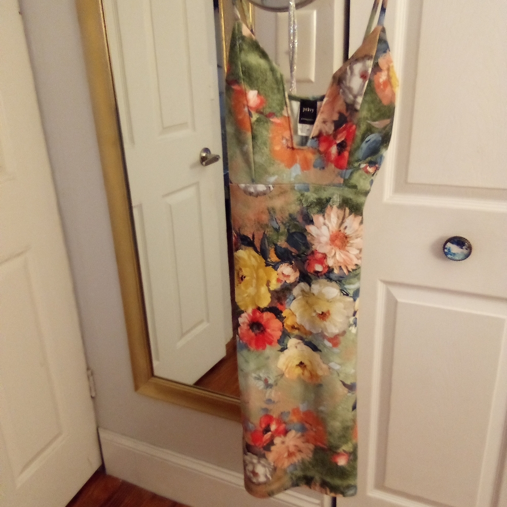 Privy Multicolor Floral Backless Dress